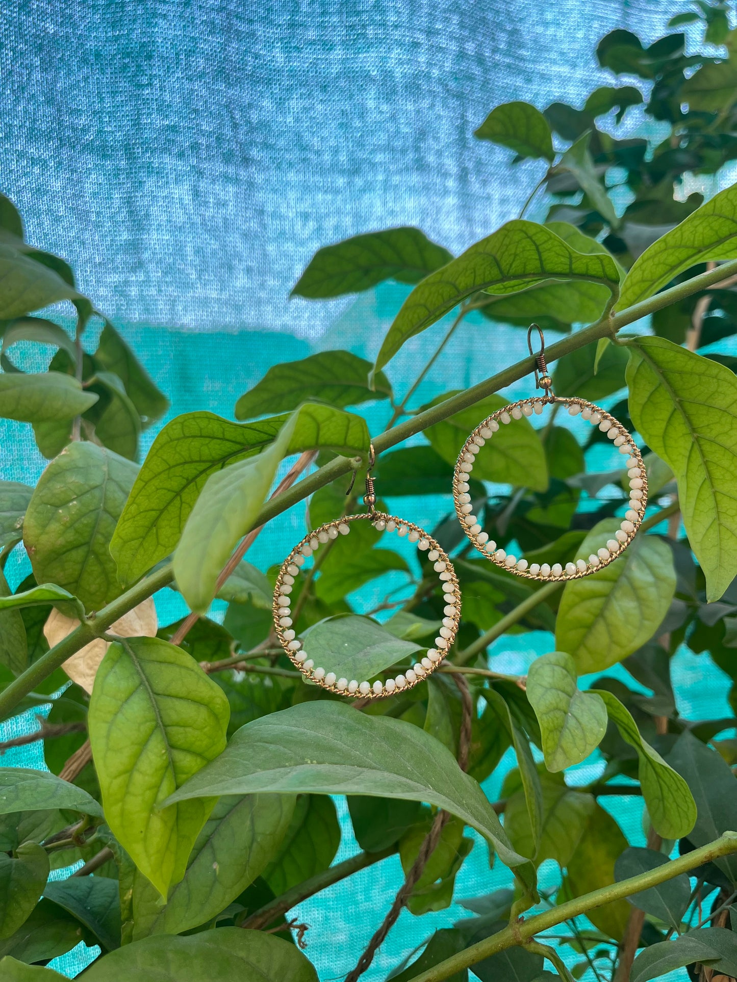 Circlet of Pearls Earrings