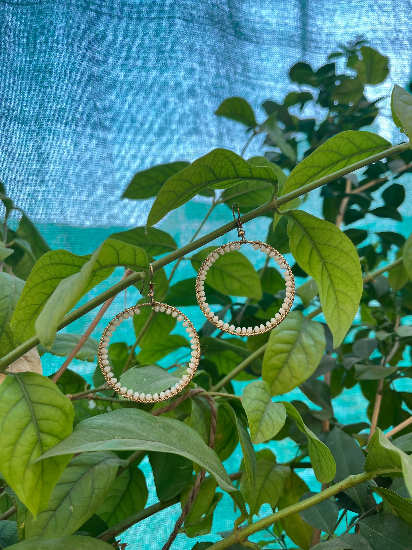 Circlet of Pearls Earrings